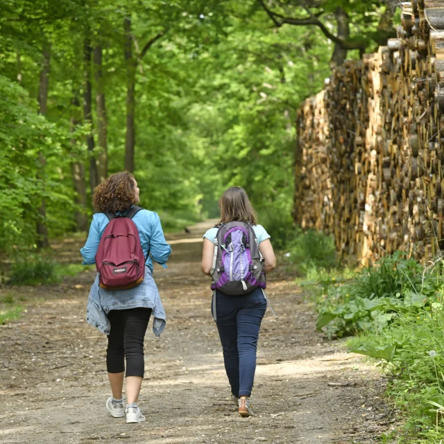 Deux personnes en rando en forêt de Saint-Germain