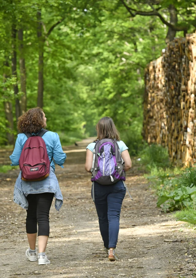 Deux personnes en rando en forêt de Saint-Germain