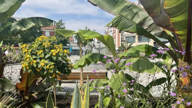 Place de la gare Sartrouville en été