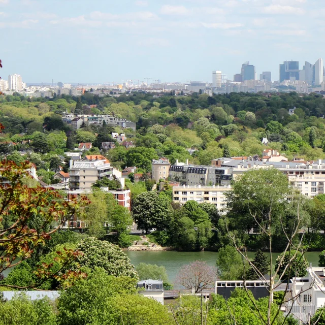 Vue Terrasse Saint-Germain-en-Laye