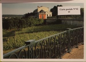 Carte postale vigne
